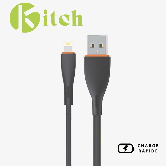 Câble USB vers Lightning (iPhone) 1m NOIR