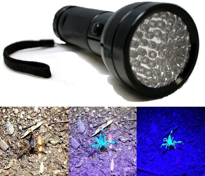 lampe LED pour la détection de scorpions à rayons ultraviolets de Hunter Finder, lumière noire, lampe de poche AA