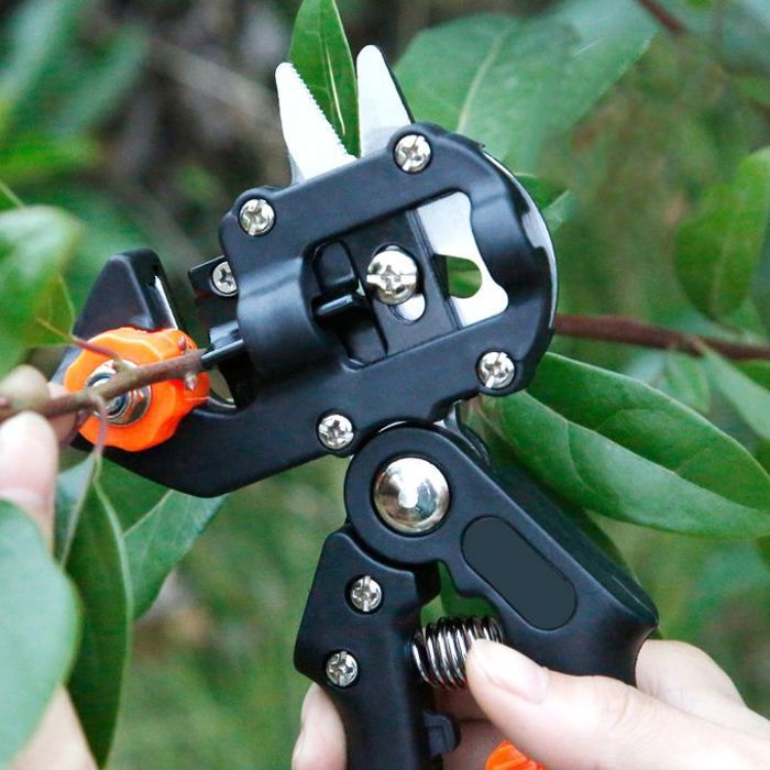 Ciseaux de greffage d'arbre fruitier, coupe branche, sécateur de jardin