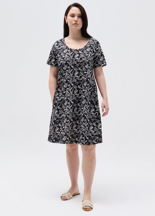 AAAMY56208-0001