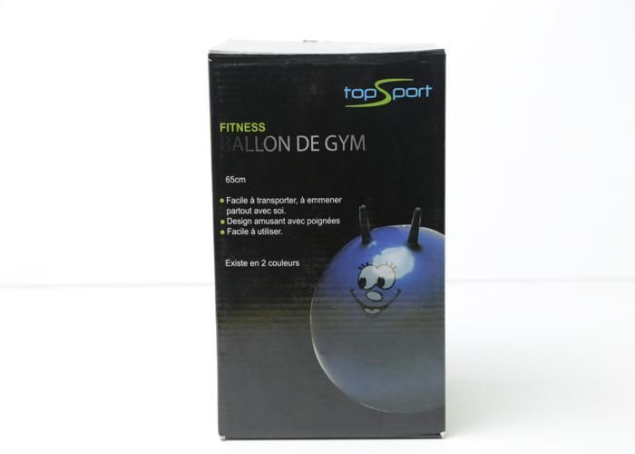 BALLLON FITNESS MULTI COLEURS 65CM