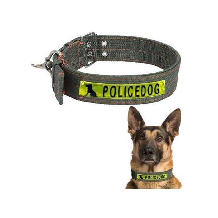 Collier Robuste en Nylon pour Grands Chiens - Vert