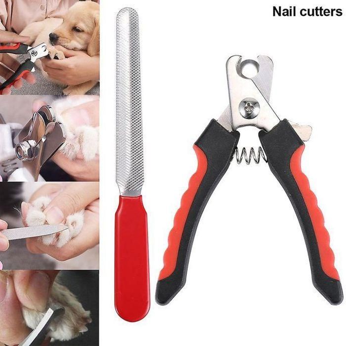 Coupe-Ongles et Lime en Acier Inoxydable pour Chat et Chien