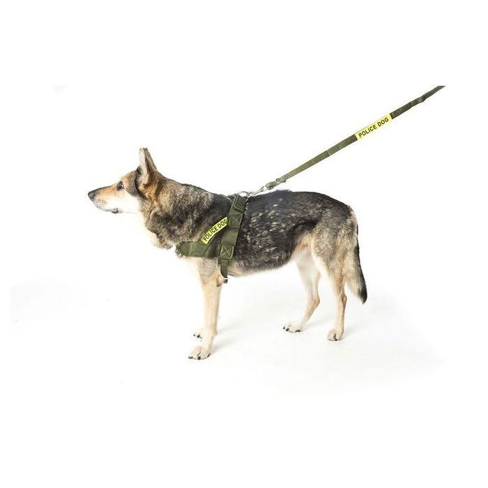 Laisse pour Chien avec Gilet de Poitrine - Vert