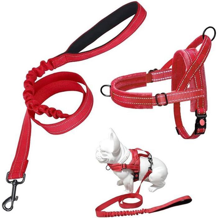 Laisse pour Chien Sans Traction - Réglable et Réfléchissant - Rouge