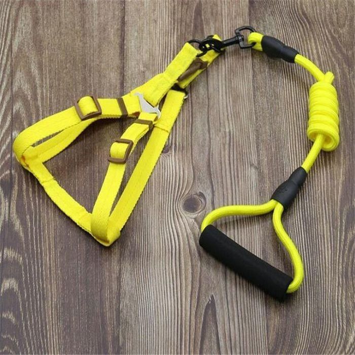 Laisse et Harnais pour Chien - Nylon - Jaune - Taille L