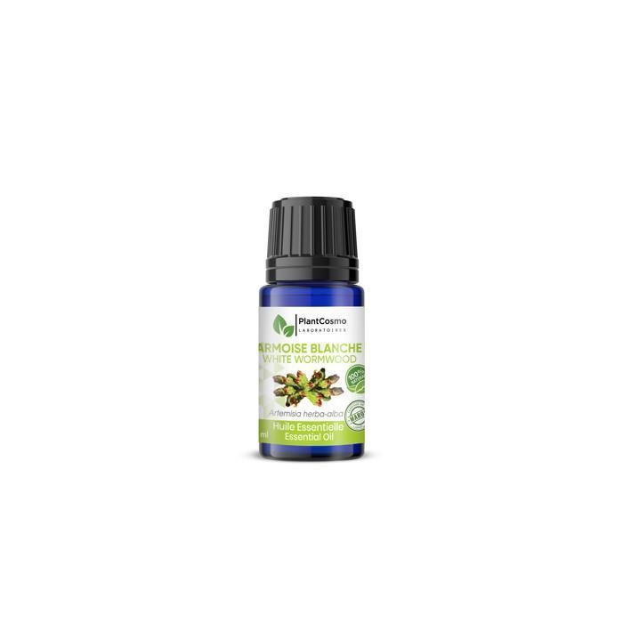HUILE ESSENTIELLE D’ARMOISE BLANCHE (10 ml)