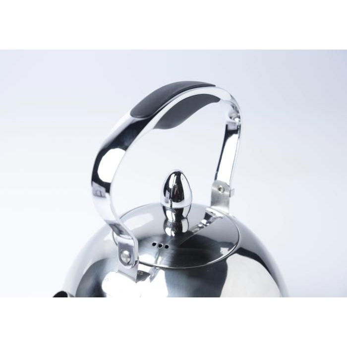 Bouilloire siffleuse - GENERIC - Inox miroir - 20x20x22 cm - Élégante - Pratique