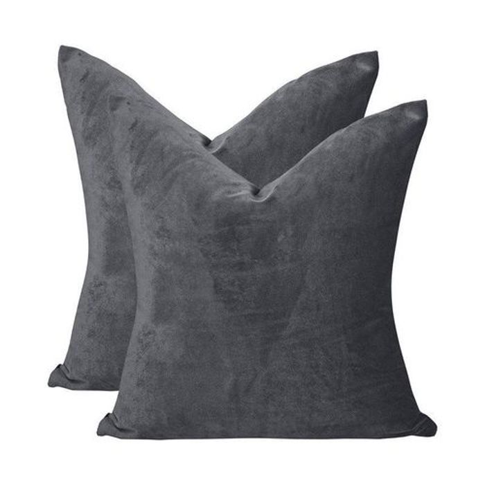Ensemble de 2 Housses de Coussin en Velours de Luxe Fer Coussins en Velours,  Coussin Décoratif, Housse de Coussin, 45x45 cm