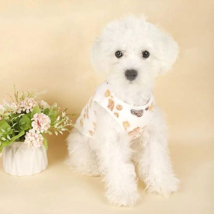 Gilet douillet en peluche pour Chien Automne/Hiver - Blanc