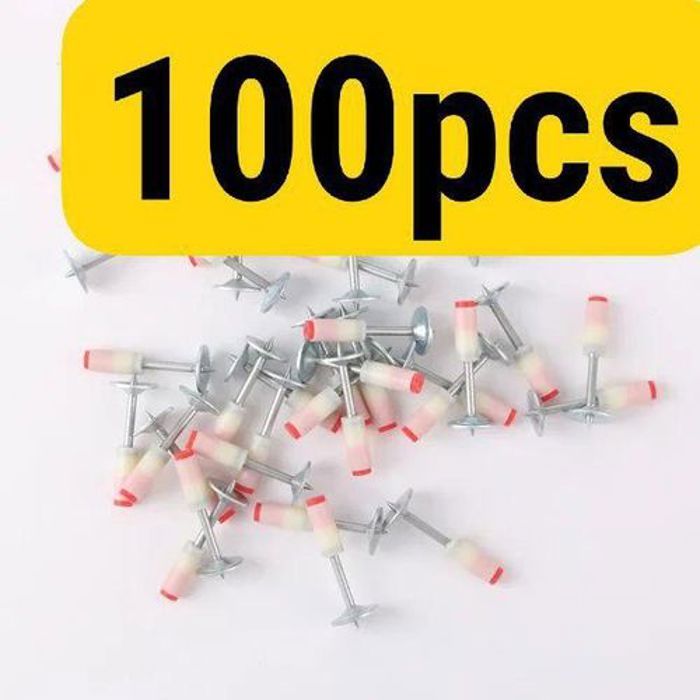 Lot de 100 clous ronds pour installation professionnelle - Multi-usage