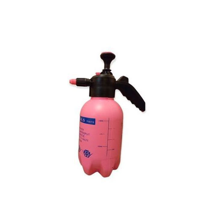 Pulvérisateur de jardin 2L manuel