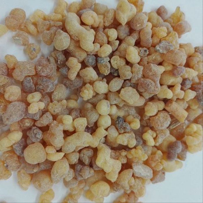 AAANU01828