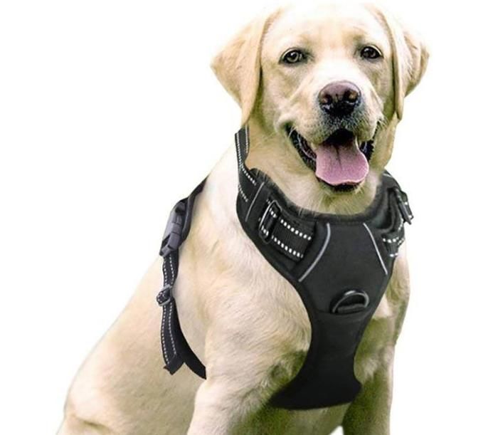 Harnais pour Très Grands Chiens - Taille XL