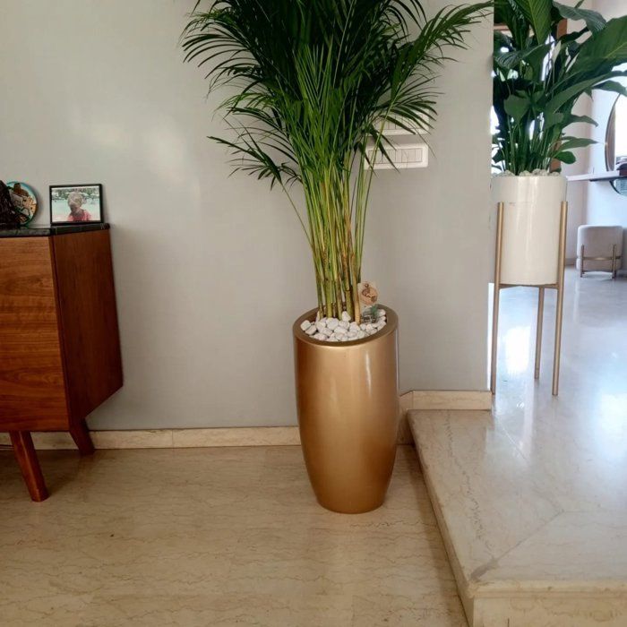 Vase  fleurs pour décoration intérieure et extérieure pot sans plantes Ø 32 x H 60 cm)