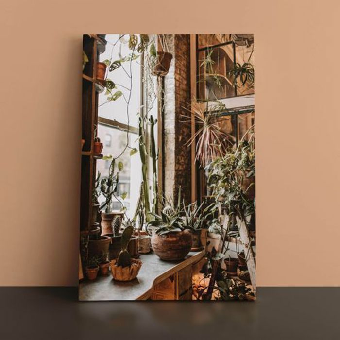 Tableau Mural Décoratifs Graphic imprimé- Plantes