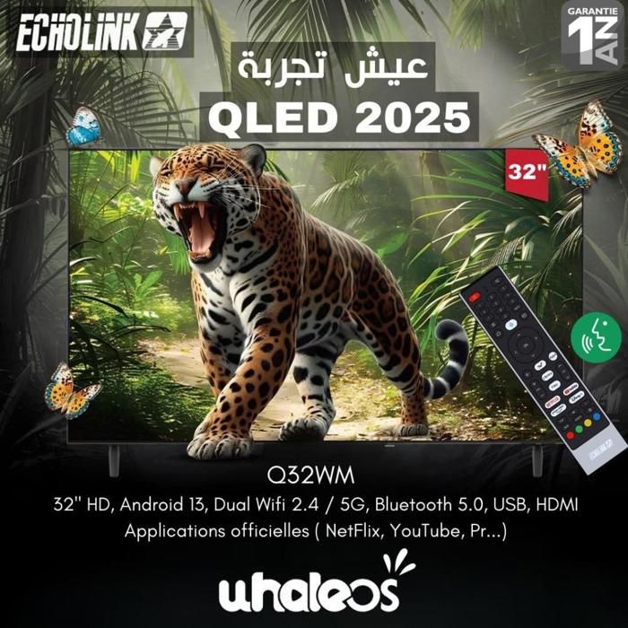 ECHOLINK - TV QLED 32" – WhaleOS – Dual Wi-Fi 2.4/5 GHz – Whale TV+ – Bluetooth + Support Gratuit