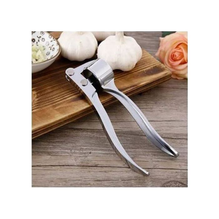 Presse-ail Manuel en Acier inoxydable Broyeur de Gingembre Gadget de Cuisine
