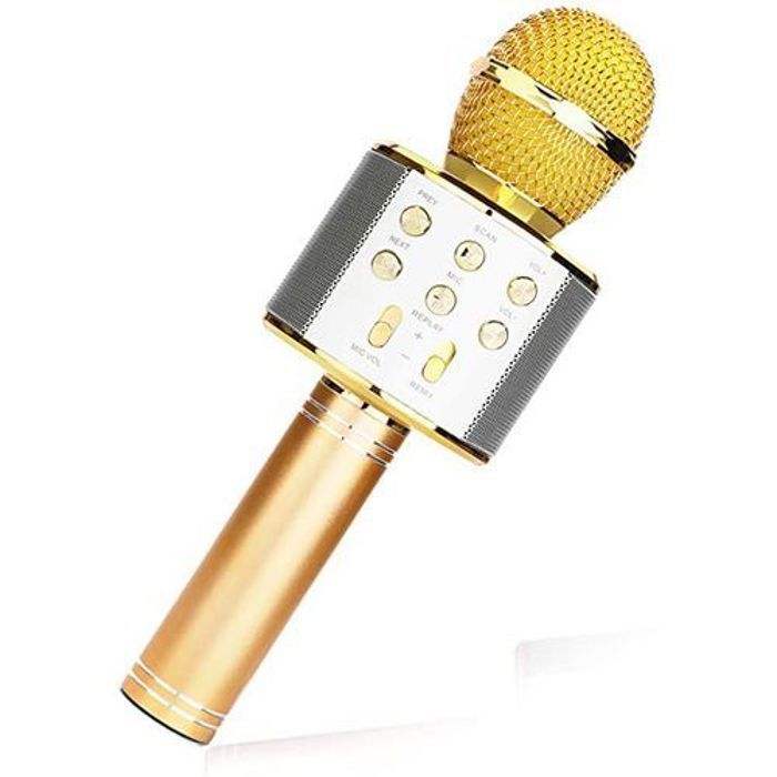Microphone Karaoké - Wster - 4en1 - Bluetooth 4.0 - 2600mAh - Réverbération d'écho