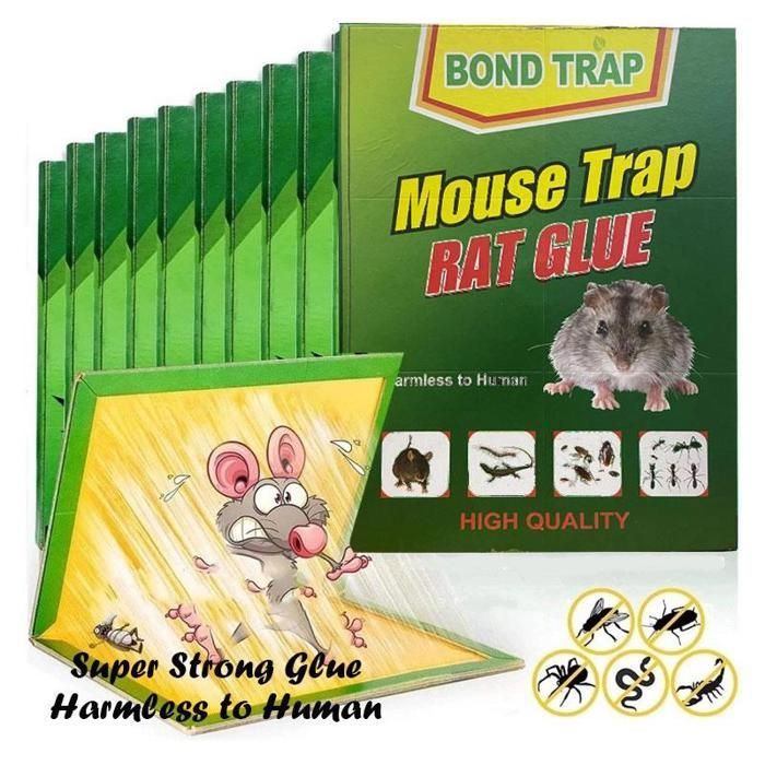 5 PCS Piège à colle efficace pour chasser les souris, les rats et ect ..