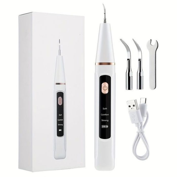 Nettoyeur de Dents Électrique, 3 Modes, Rechargeable par USB, avec Lumière LED, Kit de Nettoyage des Dents, 2 Têtes Remplaçables, Ca