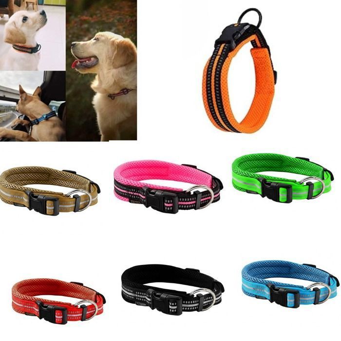 Collier pour chien - Nylon - Ajustable - Léger - Réfléchissant - Confortable (couleur aléatoire)