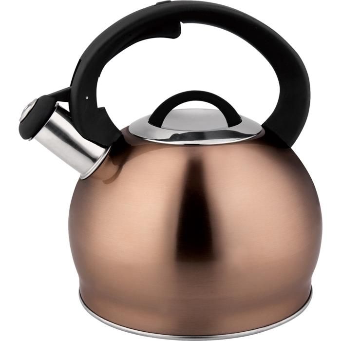 Bouilloire Sifflante 3 L avec Manche Noir - Couleur Aléatoire