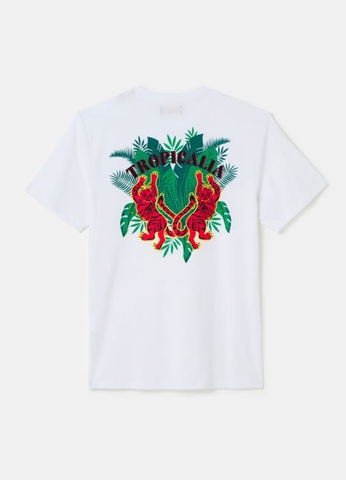 T-shirt - HOMME - Blanc Brillant - Coton Doux - Manches Courtes - Taille XXL - Marjane Mall - Image 3