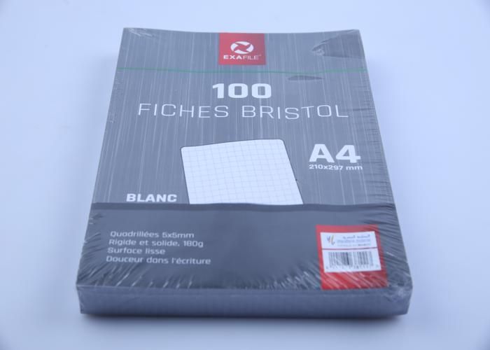 FICHE BRISTOL - Exafile - 100 fiches - 5x5 cm - 180 g - A4 blanc