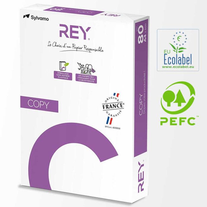 Ramette de Papier A4- Papier D'impression Blanc A4 80g-500 feuilles-REY
