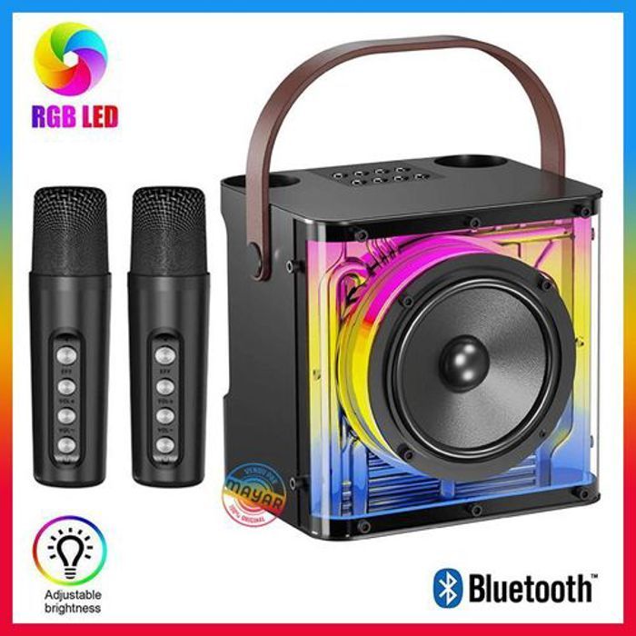 Haut-parleur Blutoorh Karaoké Portable avec 2 Microphones Sans Fil, son amplifié