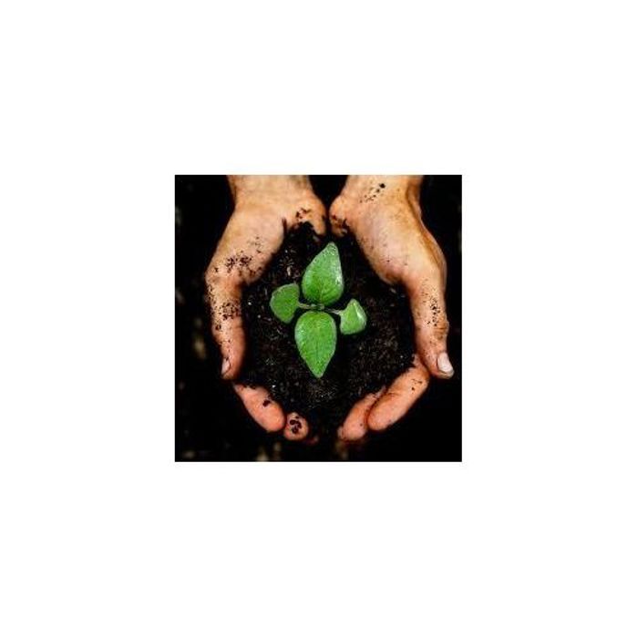 Terreau Universel, tourbe terre - 20L, substrat universel