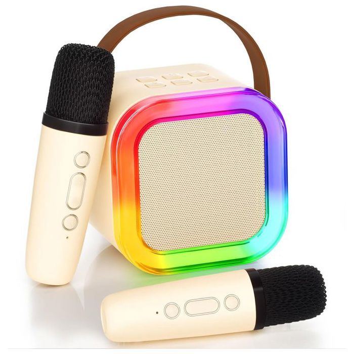 Haut-parleur Bluetooth - Mini - Double microphone intégré - Portable - Karaoké à domicile 