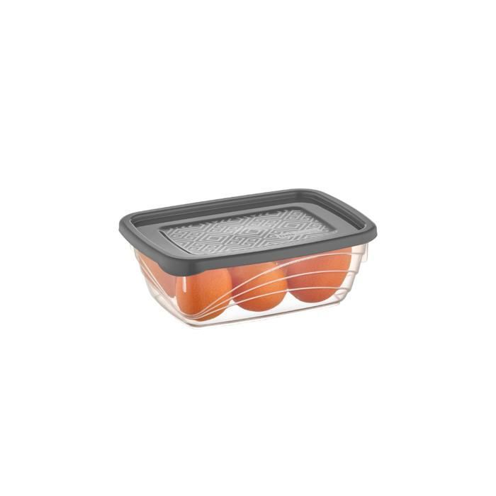 Boîte en plastique - N/A - Essentiel - Légère - Résistante - Pratique