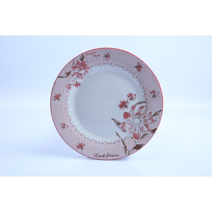 Assiette Plate - GENERIC - 10.5RSFP-A - Porcelaine - 26,7 cm - Compatible lave-vaisselle  