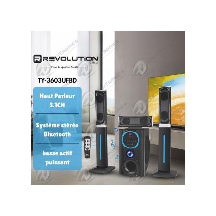 REVOLUTION - Haut-parleur 3.1CH Bluetooth avec caisson de basse, FM, USB et SD, TY-3603UFBD