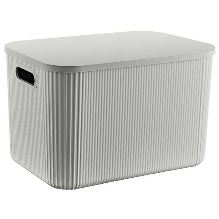 Boîte de rangement avec couvercle Pure 21 L