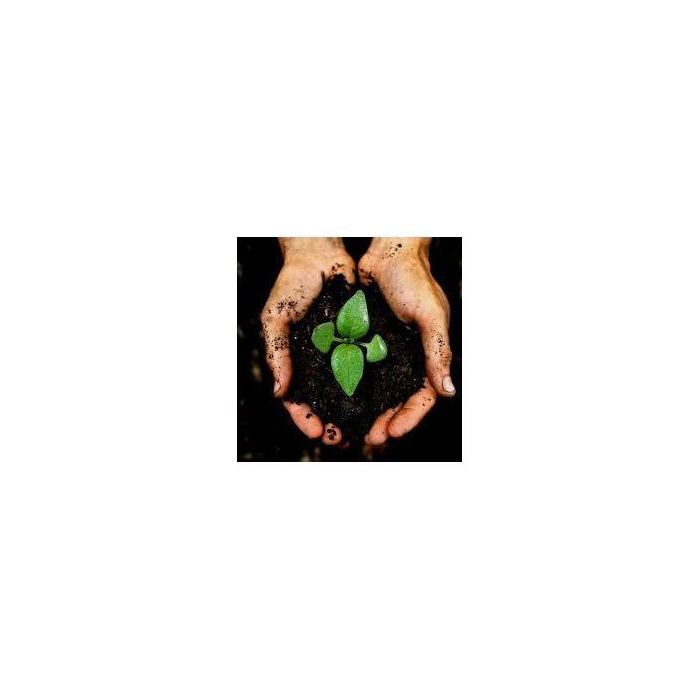 Terreau Universel, tourbe terre - 70L, substrat universel