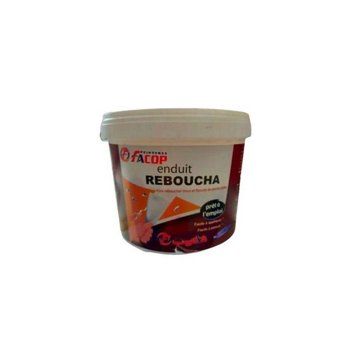 FACOP Enduit Reboucha Pour Reboucher  Trous et Fissures 1kg