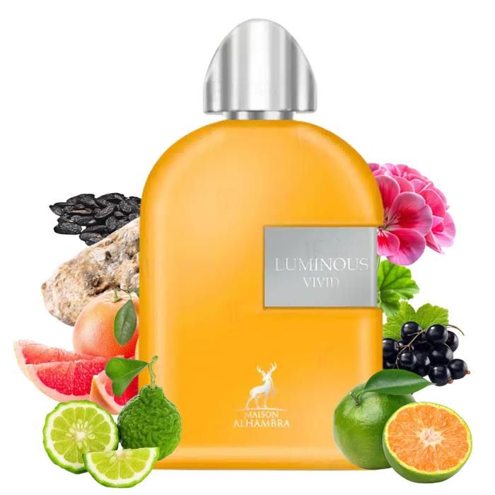 Parfum - LUMINOUS VIVID - Eau de Parfum 100ml - Homme - Notes Agrumes et Bois