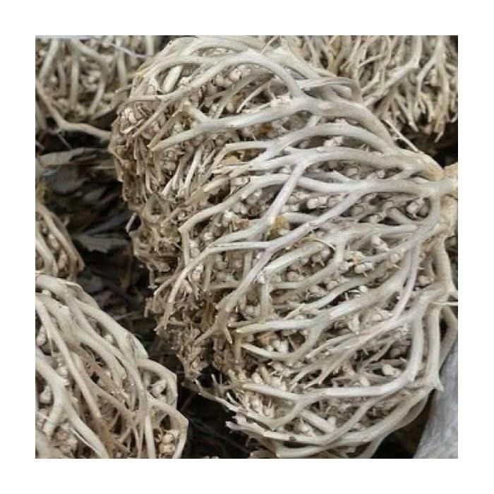 Rose de Jericho, Chajarat Mariam   Kaf Maryam - Plante Favorisant la Fertilité 125 GRAMS