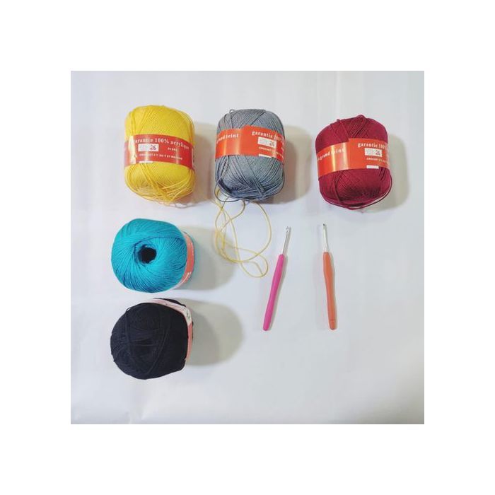 Kit Broderie avec Fil de Crochets (5 Pelotes) -2 Crochets (2.5mm et 3mm)