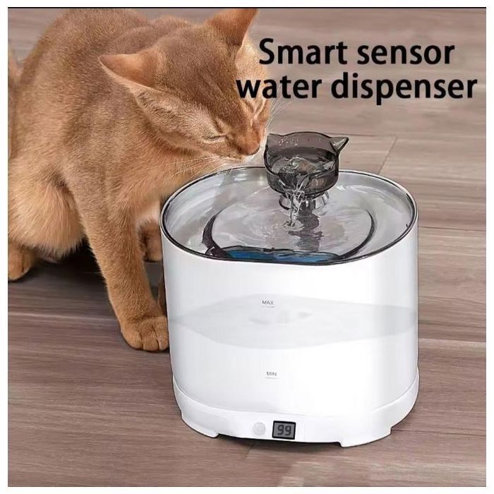 Fontaine à eau automatique pour chats et chiens, couleur aléatoire