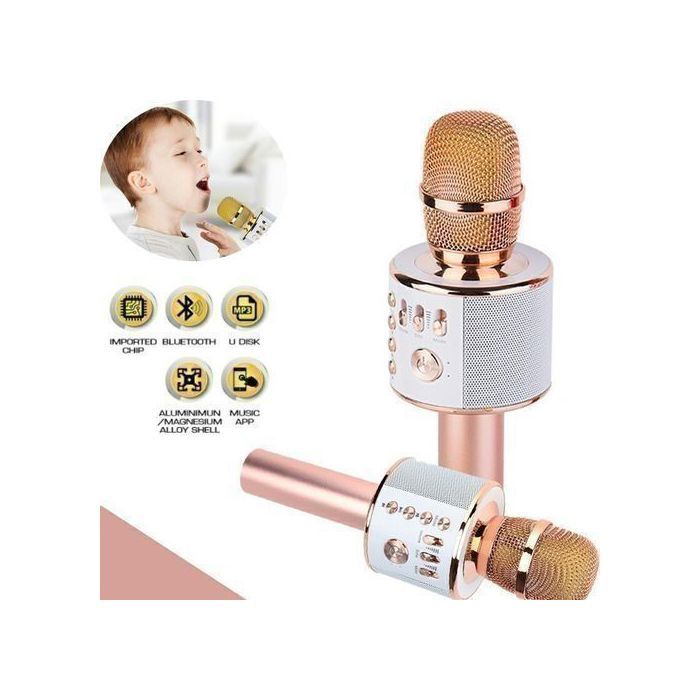 Magique Microphone et hauparleur karaoké bleutooth sans fil 4 en 1 : player rechargeable USB, micro