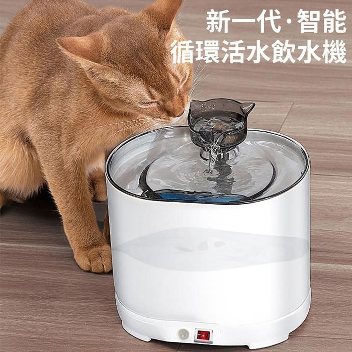 Fontaine à eau intelligente pour chat avec détecteur de mouvement
