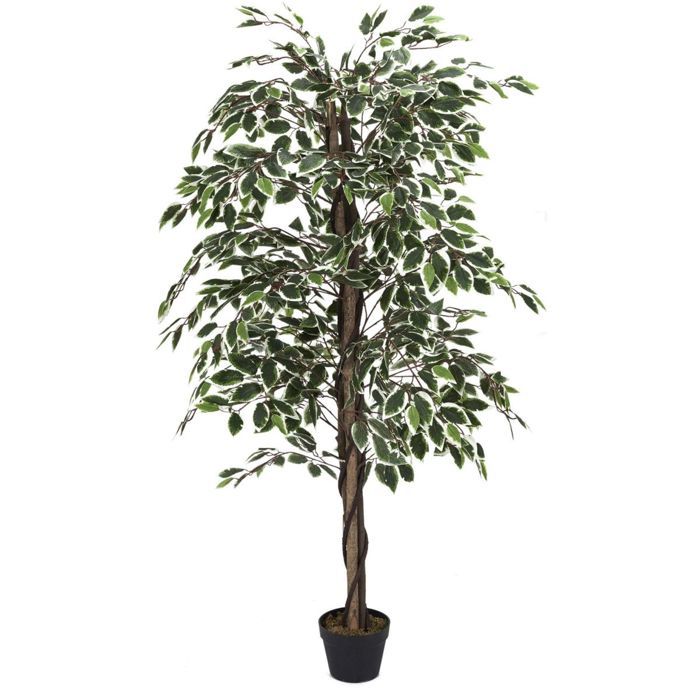 Plantes artificielles - Plante artificielle - Feuillage panache - H 160 cm
