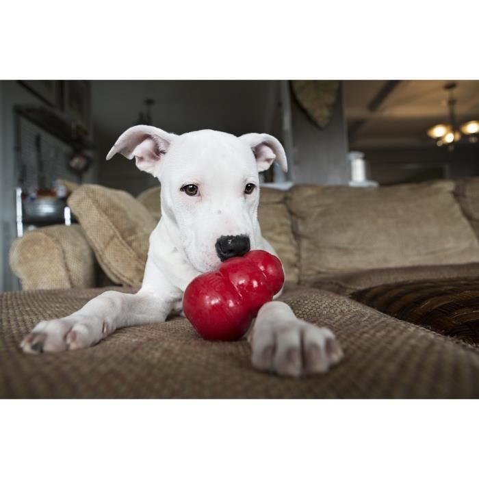 KONG Jouet à mâcher rebondissant en caoutchouc naturel Classic Small - Rouge - Pour chien