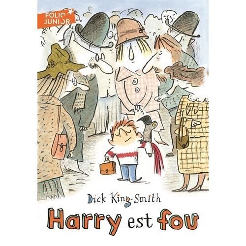 Livre - Harry est fou