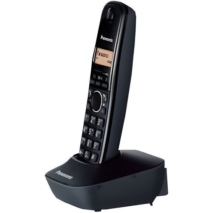 Téléphone fixe Panasonic KX-TG1611SPH Noir - -