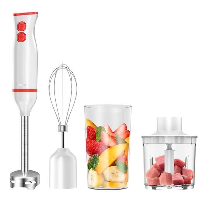 BATTEUR MIXEUR PLONGEANT 250W 2 VITESSES DECAKILA